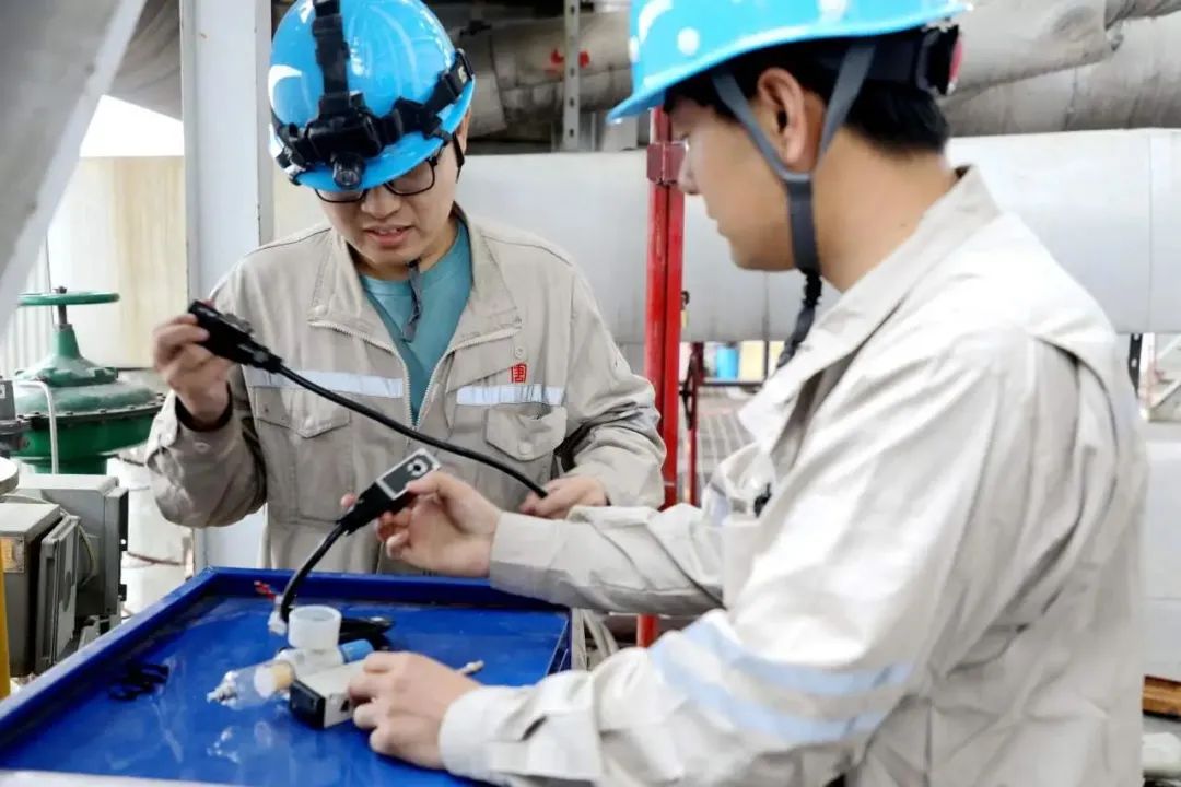 1705626224126051164.jpg 豐1.jpg